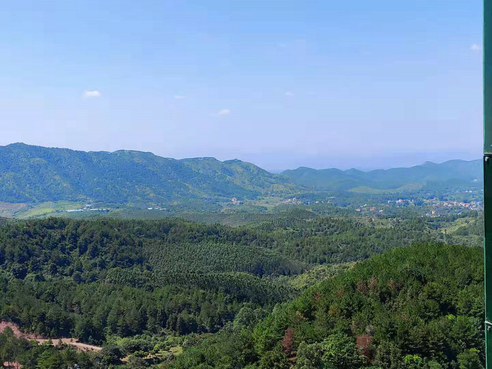 享受美麗的自然風景